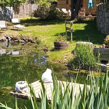 Grenouille Domaine De La Mamounette * Champclause