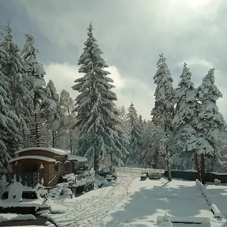 Tatil Evi Grenouille Domaine De La Mamounette *