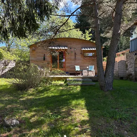 Grenouille Domaine De La Mamounette *