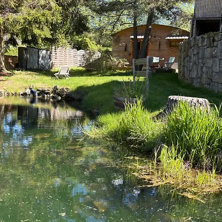 Grenouille Domaine De La Mamounette * Champclause