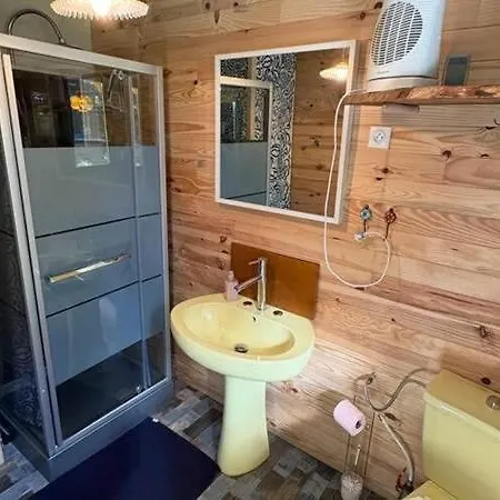 Grenouille Domaine De La Mamounette * Champclause